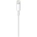 Apple Lightning to USB Cable (1m)