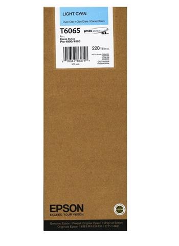 Epson ink bar Stylus Pro 4800/4880 - light cyan (220ml)