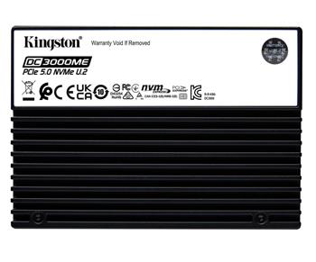 Kingston SSD DC3000ME 3840GB M.2 PCIe 5.0 NVMe x4